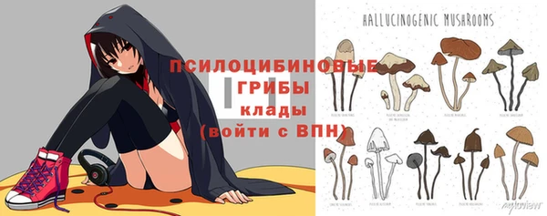 МДПВ Краснотурьинск