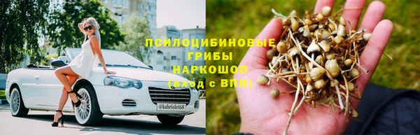 МДПВ Краснотурьинск