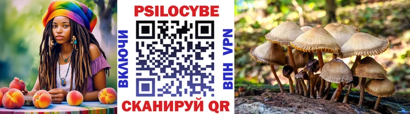 Псилоцибиновые грибы мицелий  Коммунар 