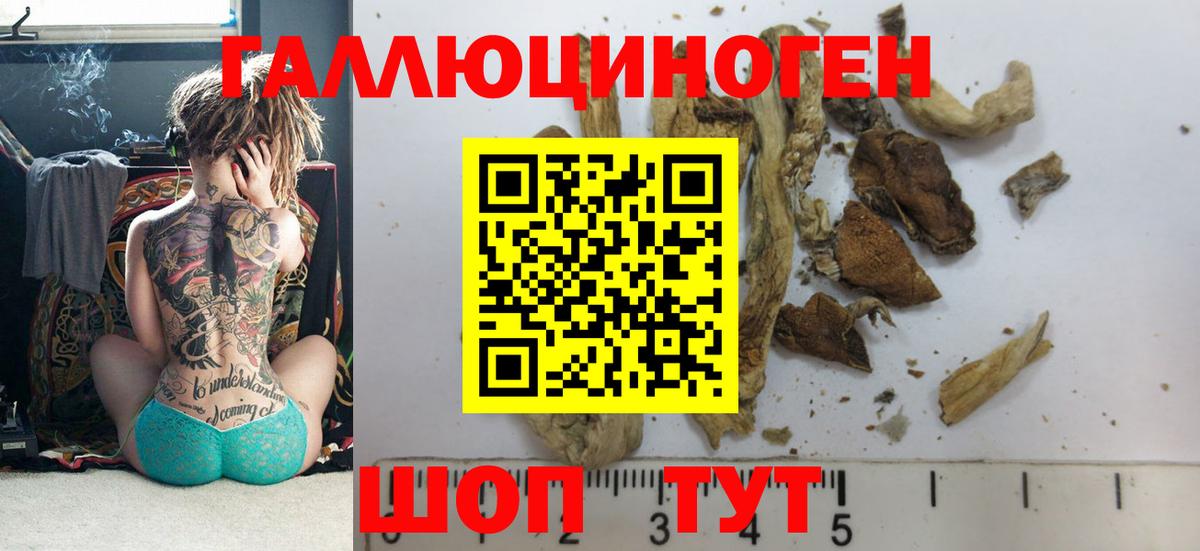 Псилоцибиновые грибы Psilocybine cubensis  Вход с VPN  Коммунар 